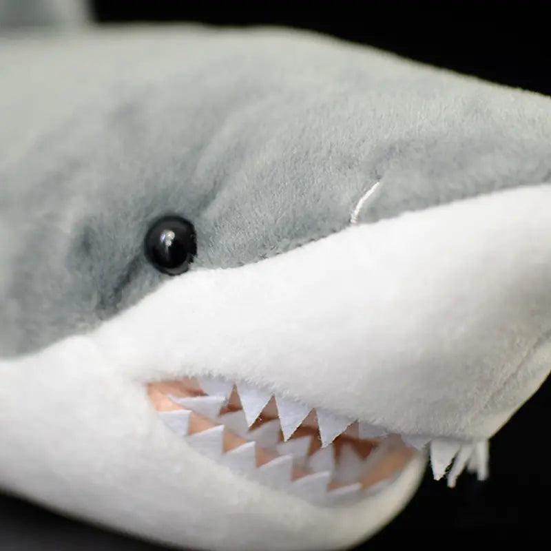 Great White Shark Plush